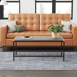 Ruby 42 in. Gray Ash Rectangle Wood and Metal Coffee Table by Brookside -Cheap sumyeg Store ash brookside coffee tables bs0004cft42gr 31 1000