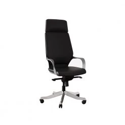 Hunter Black High-Back Aluminum Base Leather Upholstery Adjustable Ergonomic Executive Office Chair by Nyhus