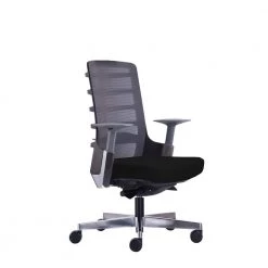 Mesh Medium Back Black Fabric Seat Swivel Ergonomic Executive Office Chair with Adjustable Arms by Nyhus