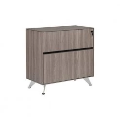 Dark Grey 32 in. W x 17 in. D x 32 in. H 2-Drawer Wood Lateral File Cabinet by Nyhus