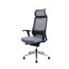 Home Office Mesh Medium Back Ergonomic Executive Chair with Adjustable Arms & Fixed Headrest, Grey by Nyhus 2 Home Office Mesh Medium Back Ergonomic Executive Chair with Adjustable Arms & Fixed Headrest, Grey by Nyhus -Cheap sumyeg Store grey nyhus executive chairs hd 79000905400 64 1000
