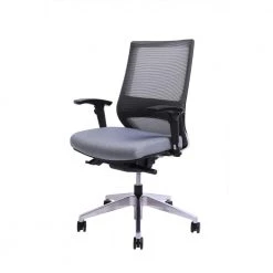 Home Office Mesh Medium Back Ergonomic Executive Chair with Adjustable Arms, Grey by Nyhus